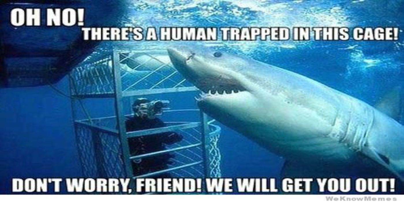 Jaws Logic Memes That Are Too Hilarious For Words Hot Sex Picture
