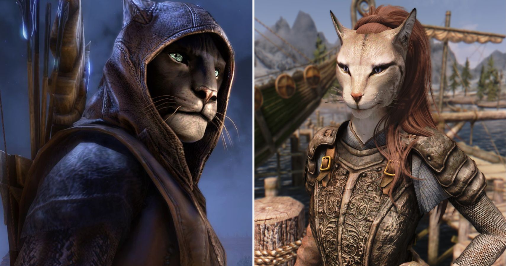 Skyrim Things You Didn T Know About Khajiit