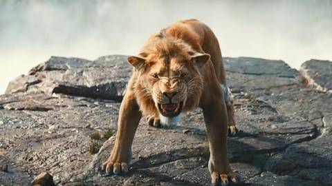 Lion king live action new arrivals
