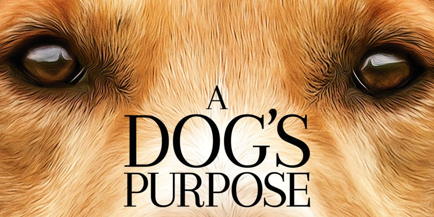 A Dog's Purpose Poster Banner