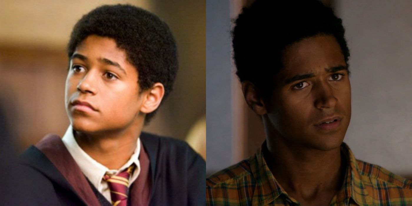 Harry Potter: 10 Actors You Forgot Were In The Movies