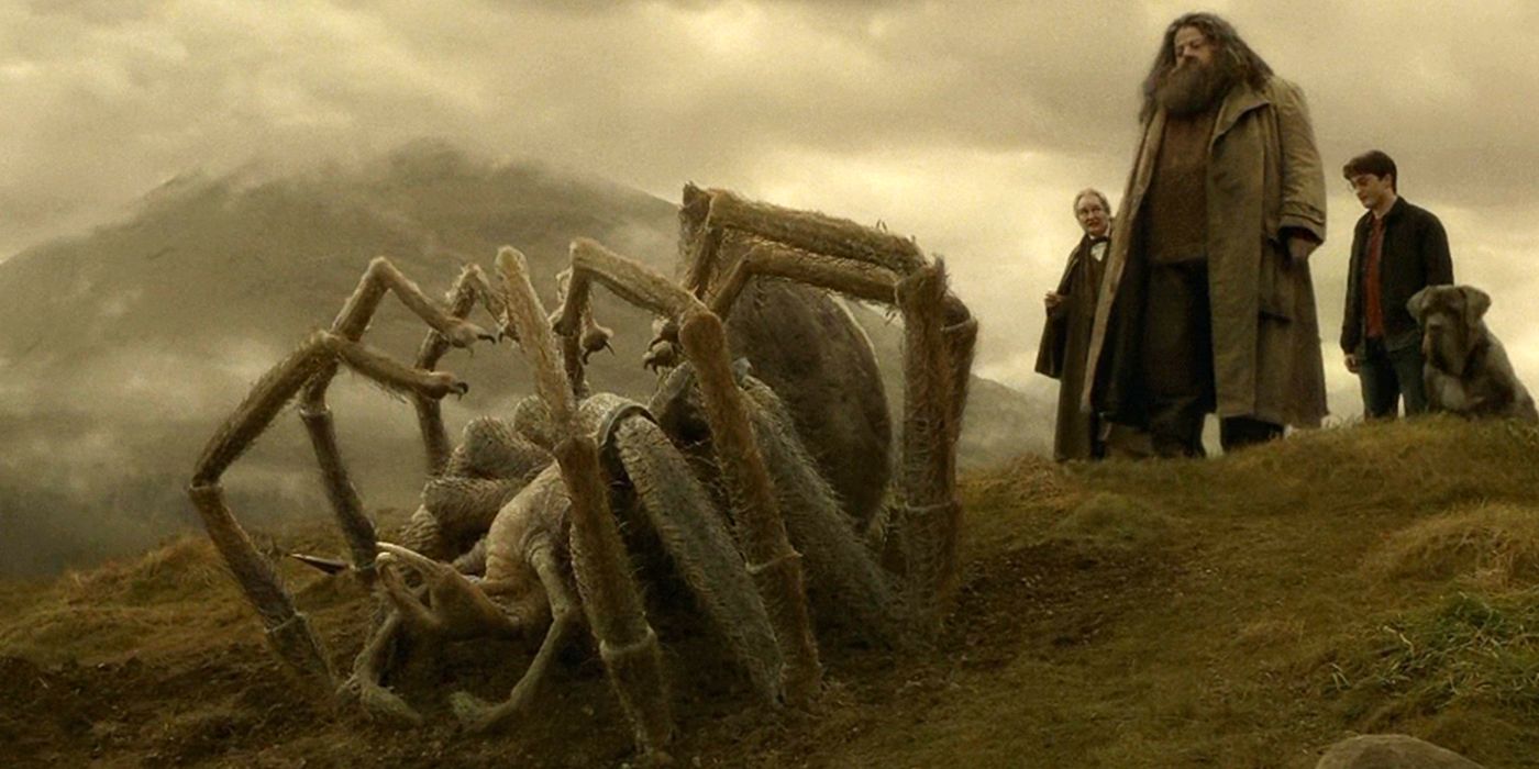 Aragog, Hargrid, and Harry in Harry Potter at the Half-Blood Prince