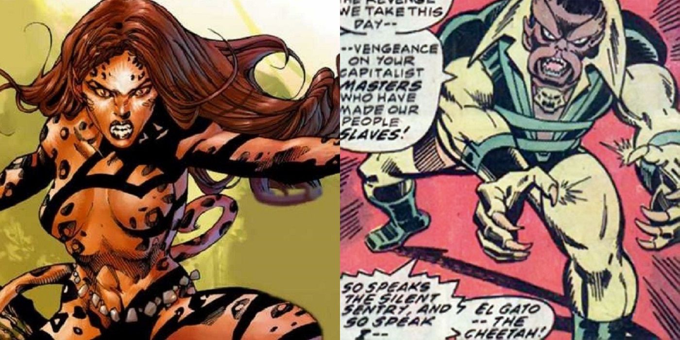 Cheetah from DC the Wonder Woman villain, and Cheetah the Marvel villain