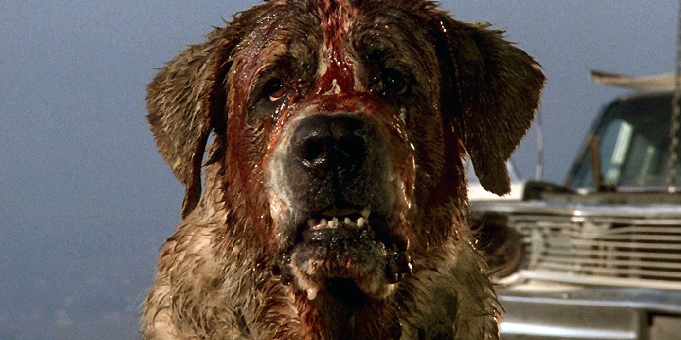 The 10 Best Killer Animal Movies Ranked