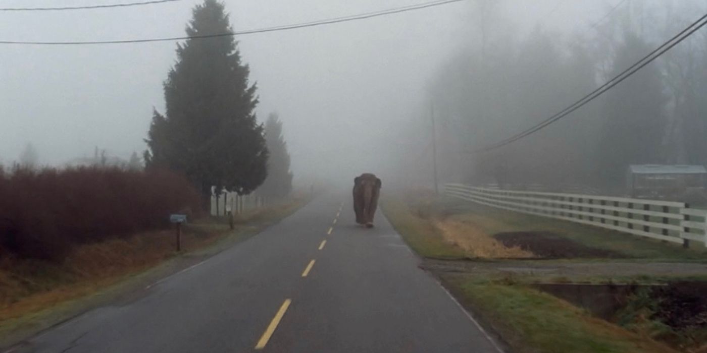 Elephant Running Down Street Fearful Symmetry X-Files