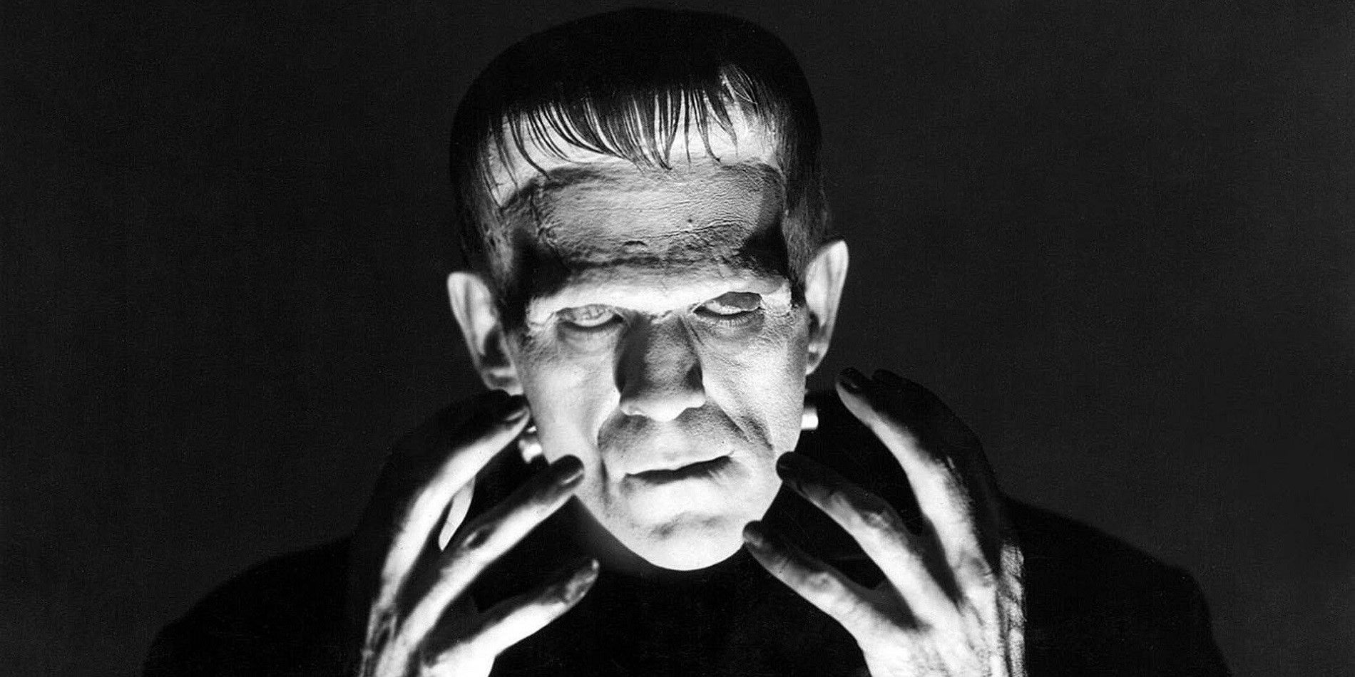Frankenstein 1931 movie