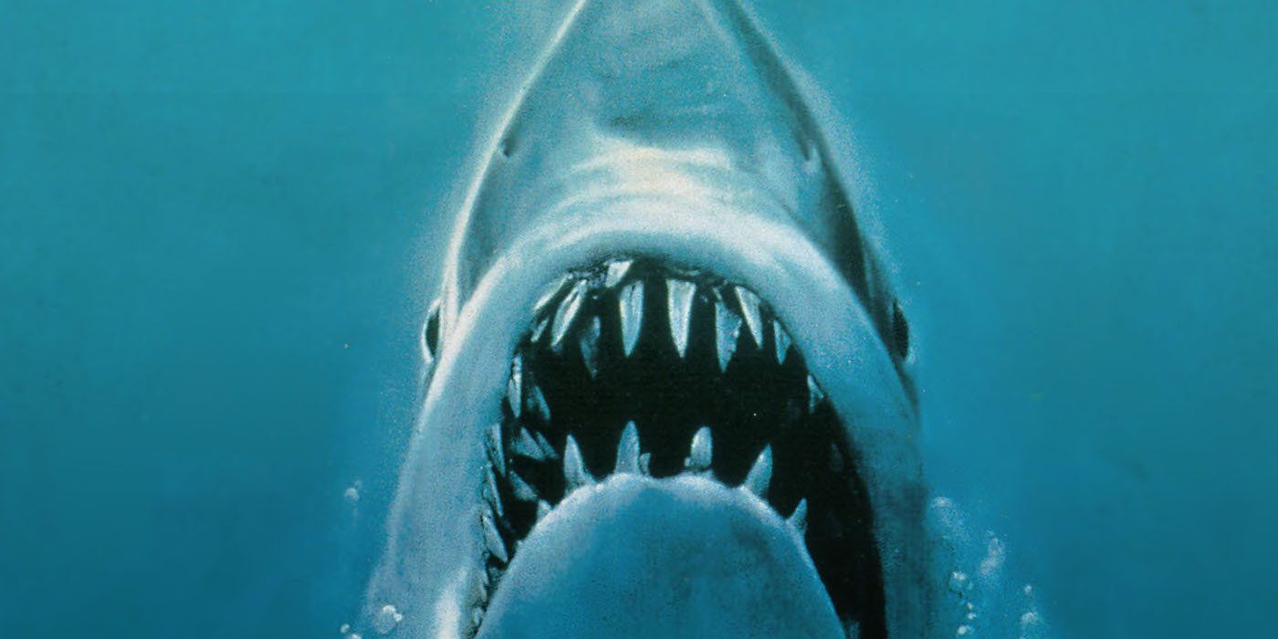Jaws poster art close-up