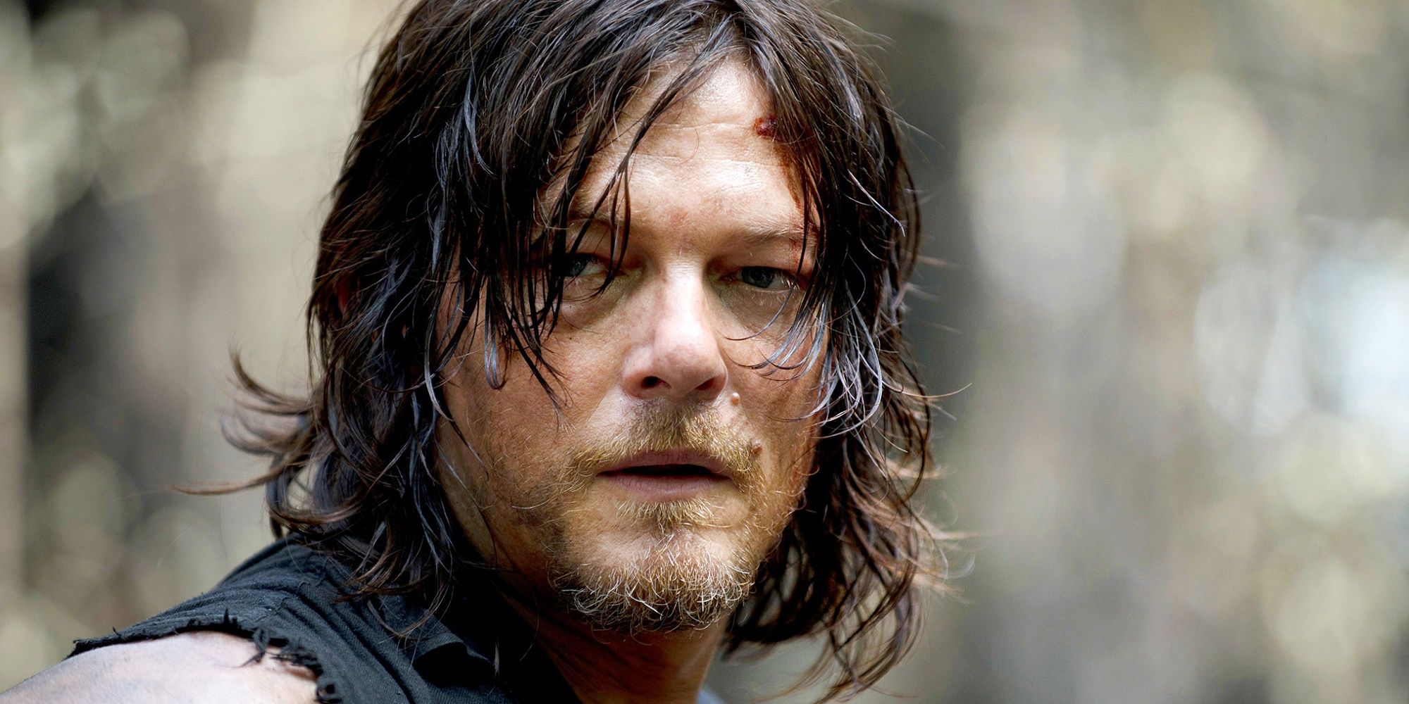 Norman Reedus as Daryl Dixon in Walking Dead