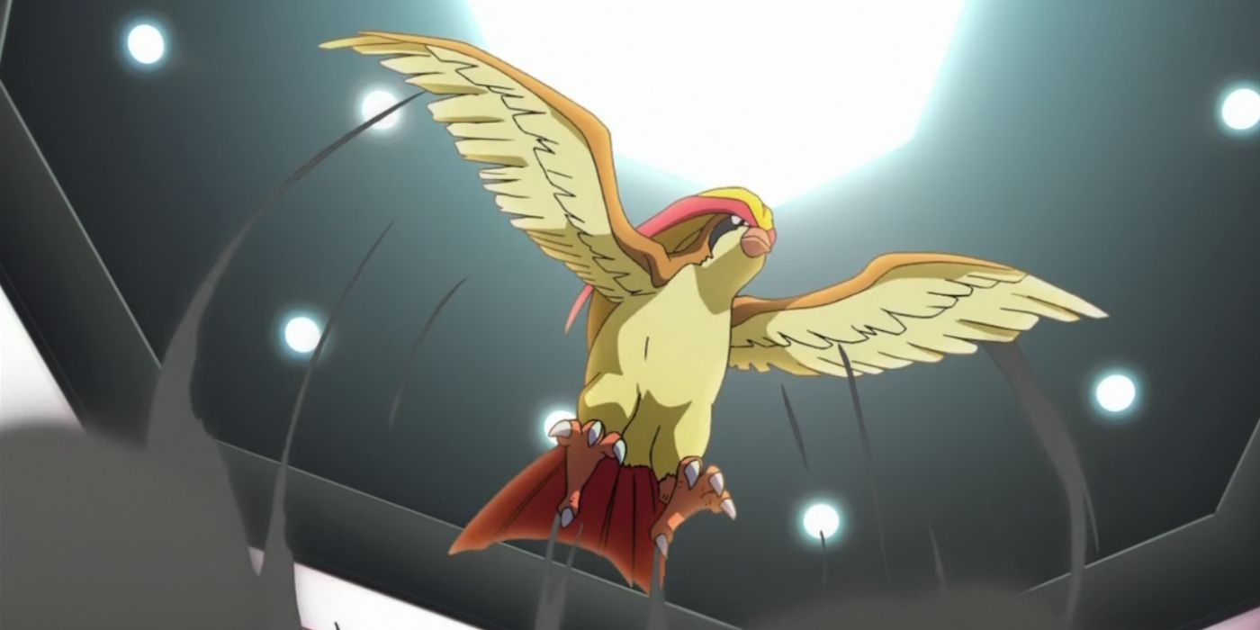 Pidgeot flying in the Pokémon Anime