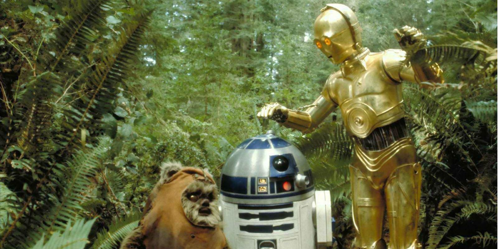 R2-D2 C-3PO and Wicket the Ewok on the moon Endor in Star Wars The Return of the Jedi