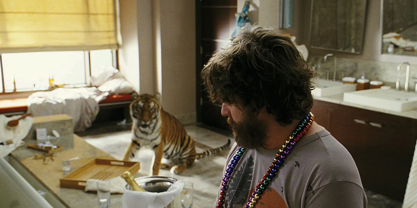 Zach Galifianakis and tiger in The Hangover