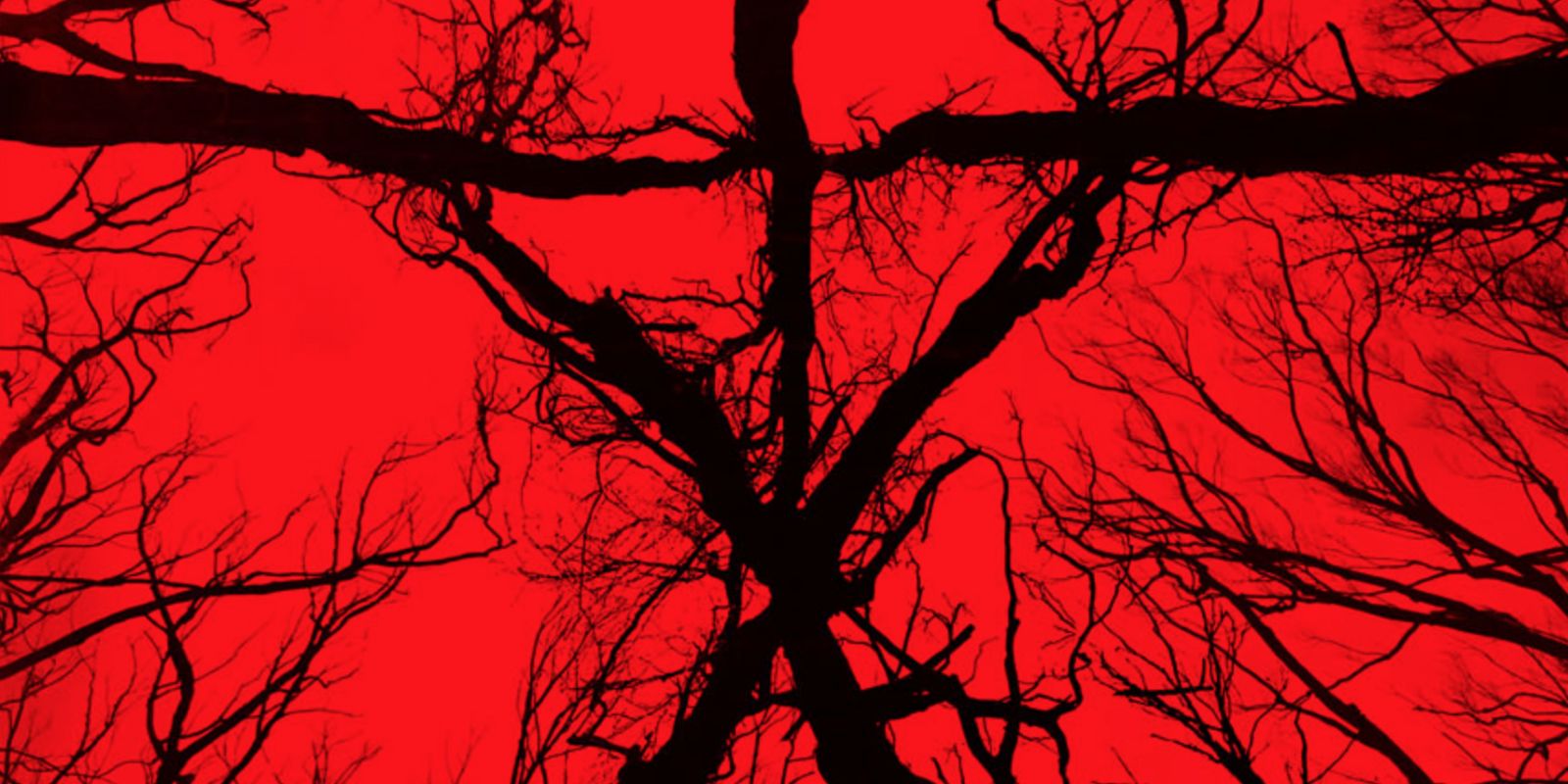 Blair Witch (2016) trailers and posters