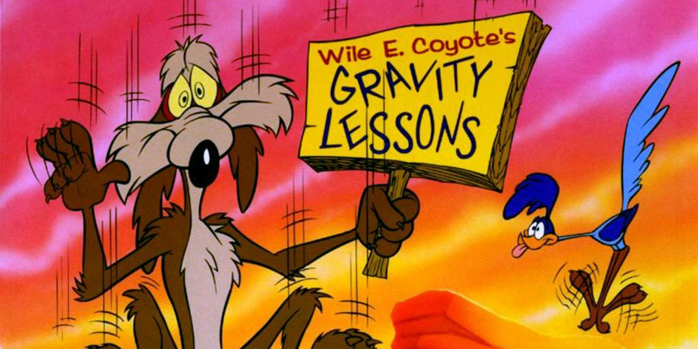 Coyote teaching gravity lessons