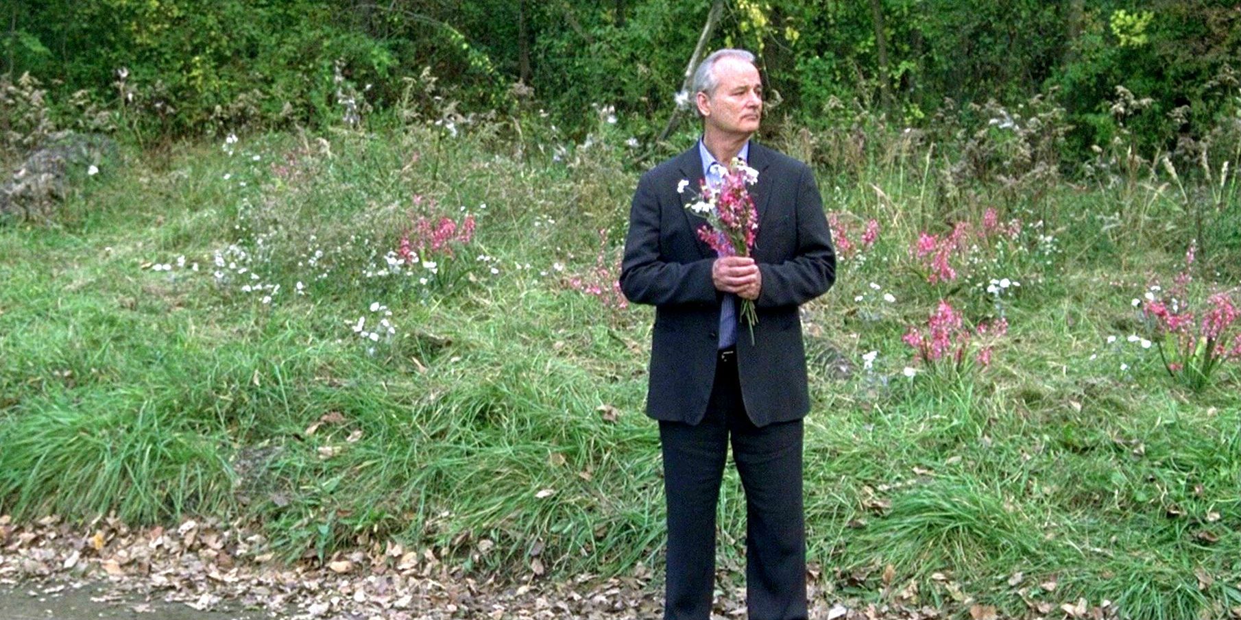 Bill Murray in Broken Flowers