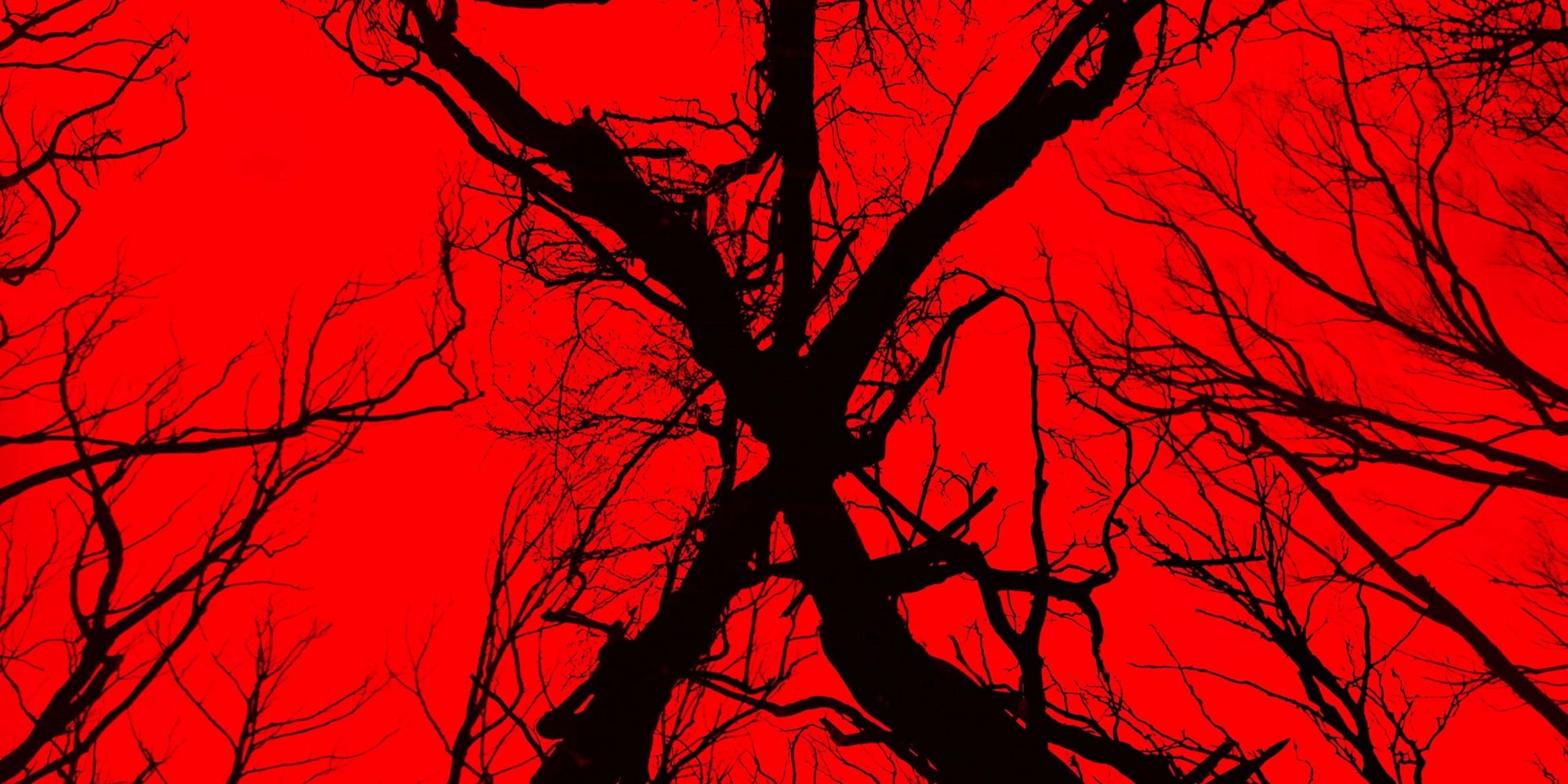 Blair Witch poster excerpt