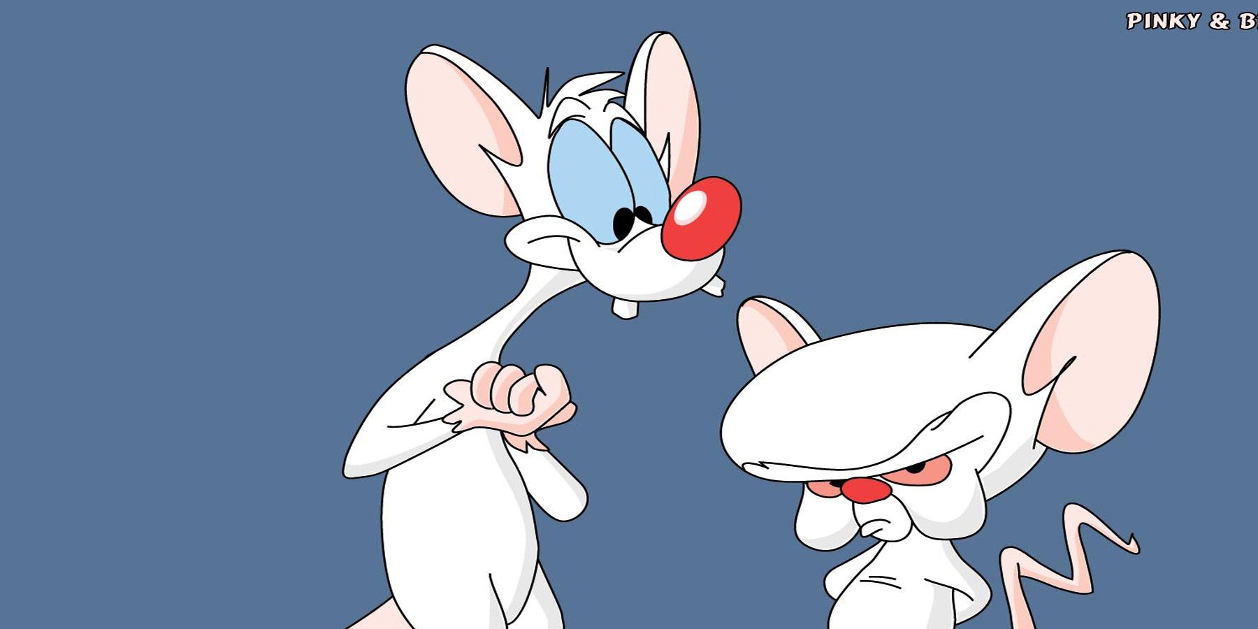 Forgotten Cartoons Pinky and the Brain