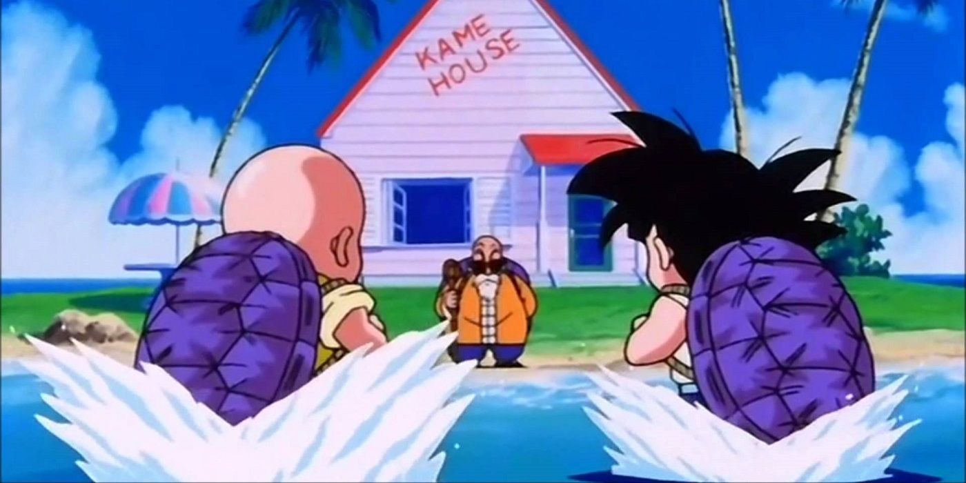 Krillin and Goku training with Master Roshi