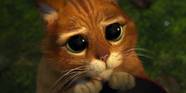 Puss In Boots 2 s Message Changes Shrek s Sequels Puss In Boots 2 s Message Changes Shrek s Sequels