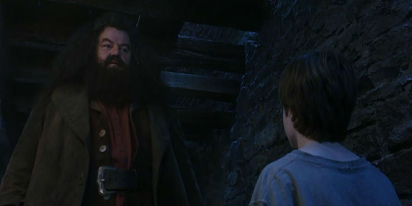 Hagrid tells Harry he is a wizard in The Philosopher's Stone
