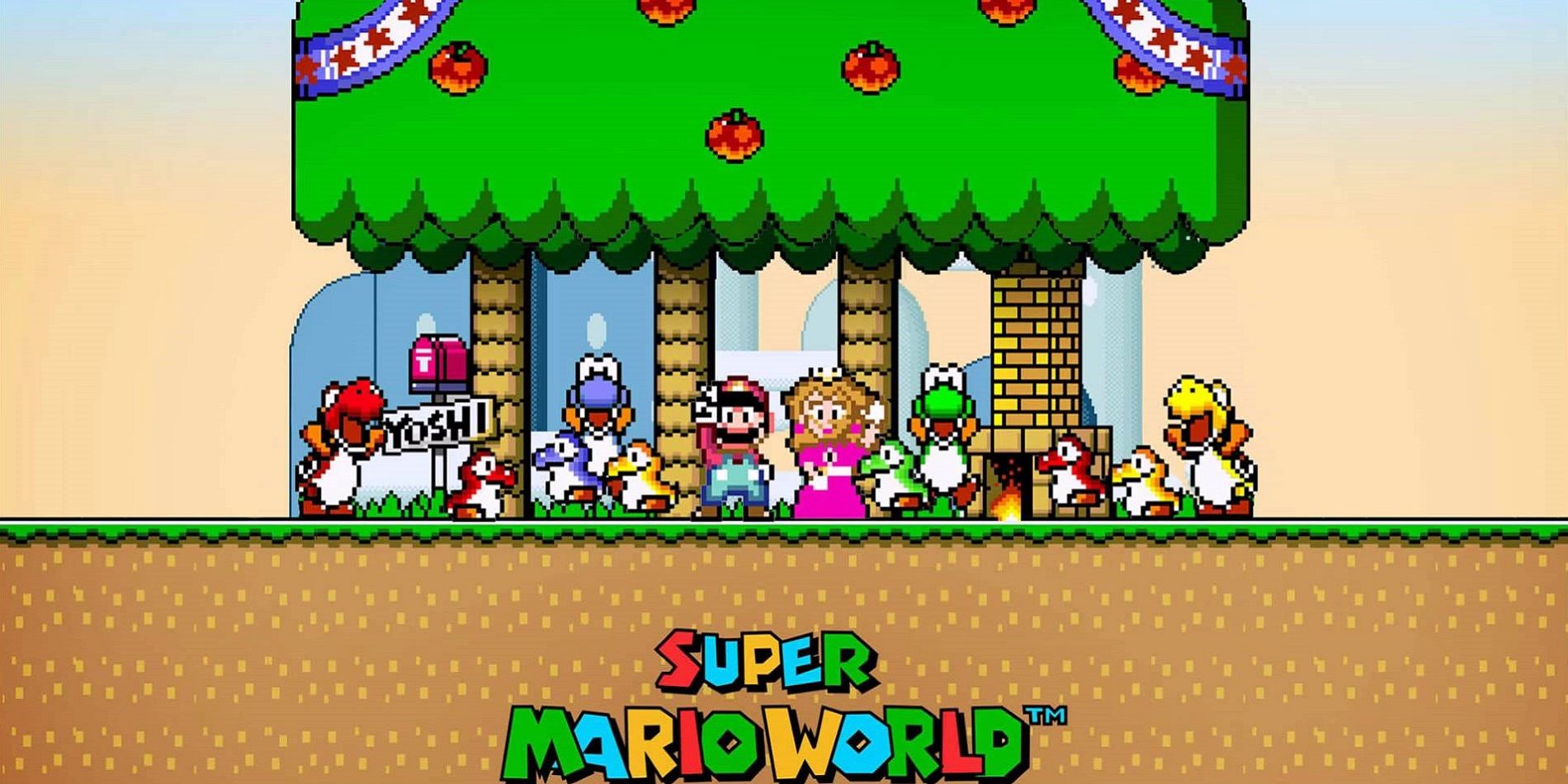 Super Mario World video game