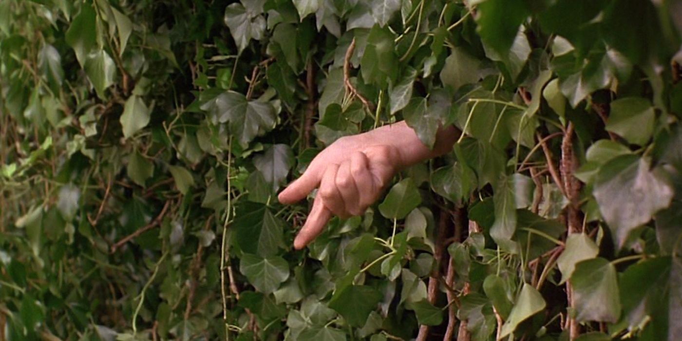 A hand reaching through the bushes in The Secret Garden