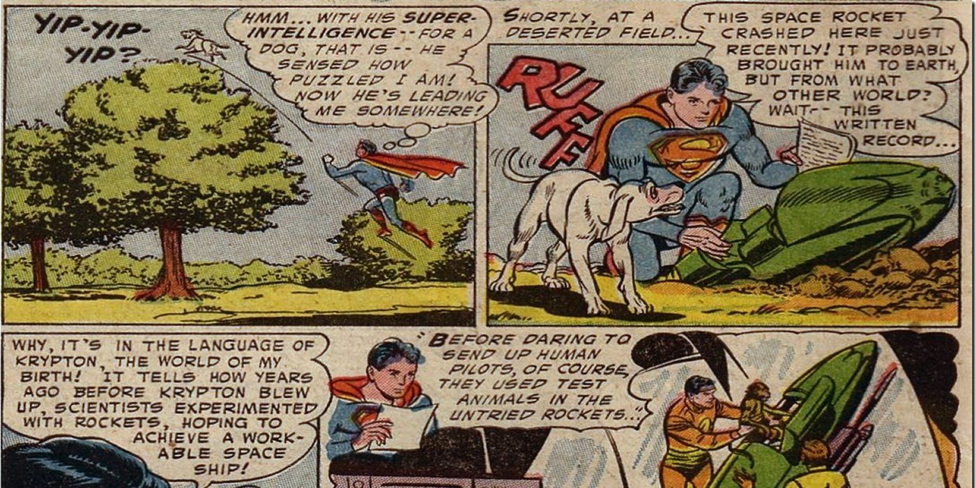 Krypto DC Superman