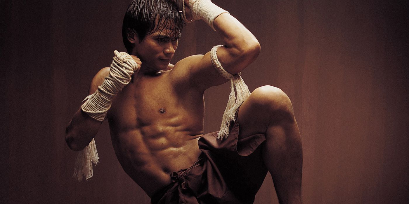 The 5 Best Martial Arts Fighting Styles In Movies (& 5 Of The Worst)