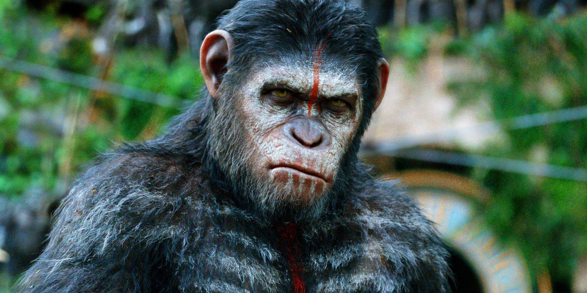 of the Apes Interview How The Series Can Continue After Caesar