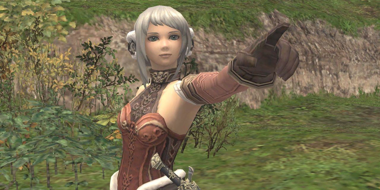 Final Fantasy XI character pointing forward against a grassy background.