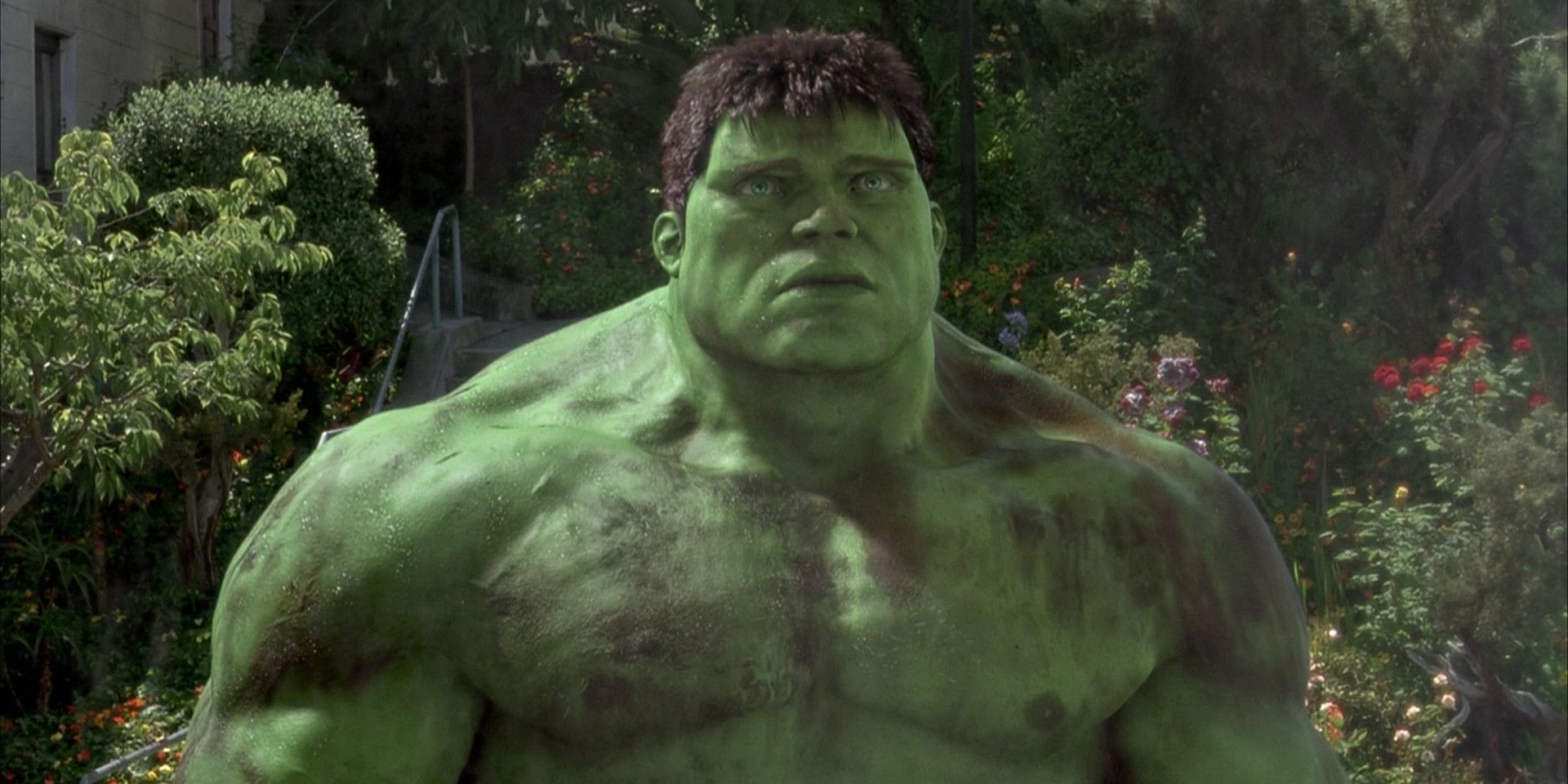 Hulk in Hulk 2003