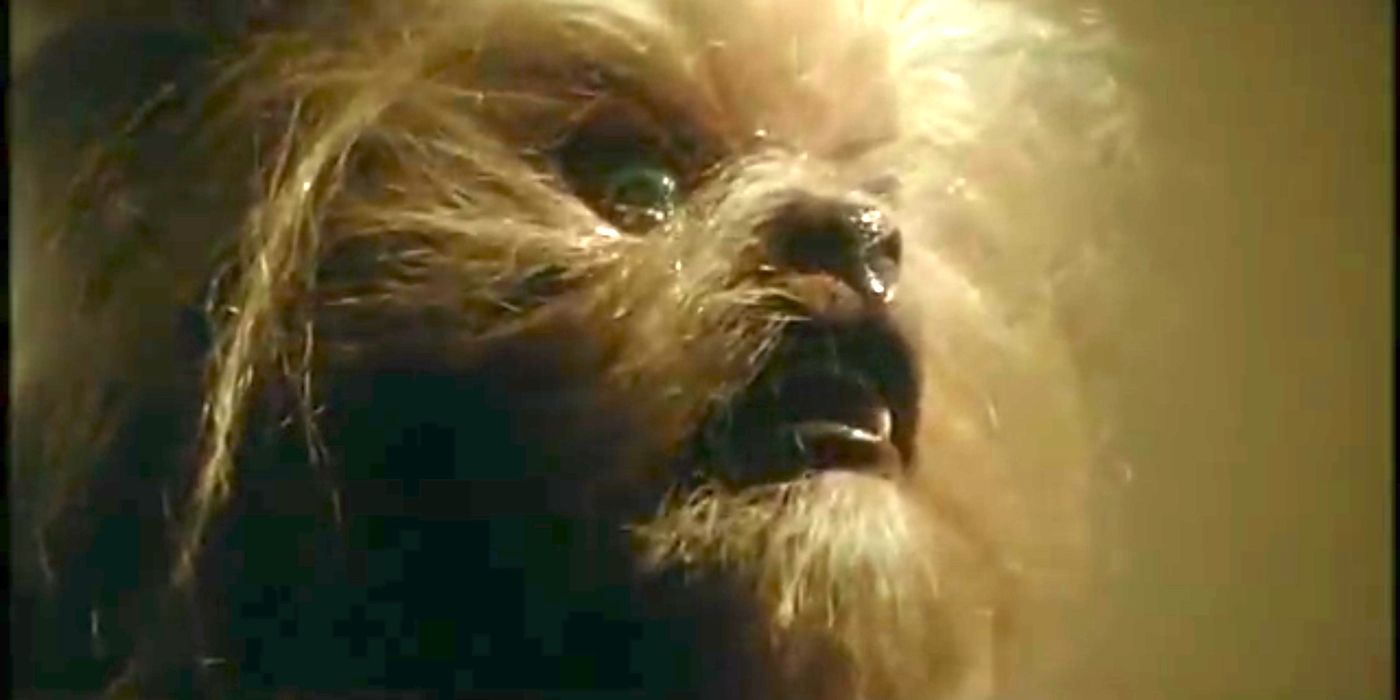 Dee Wallace turns into an adorable werewolf at the end of The Howling