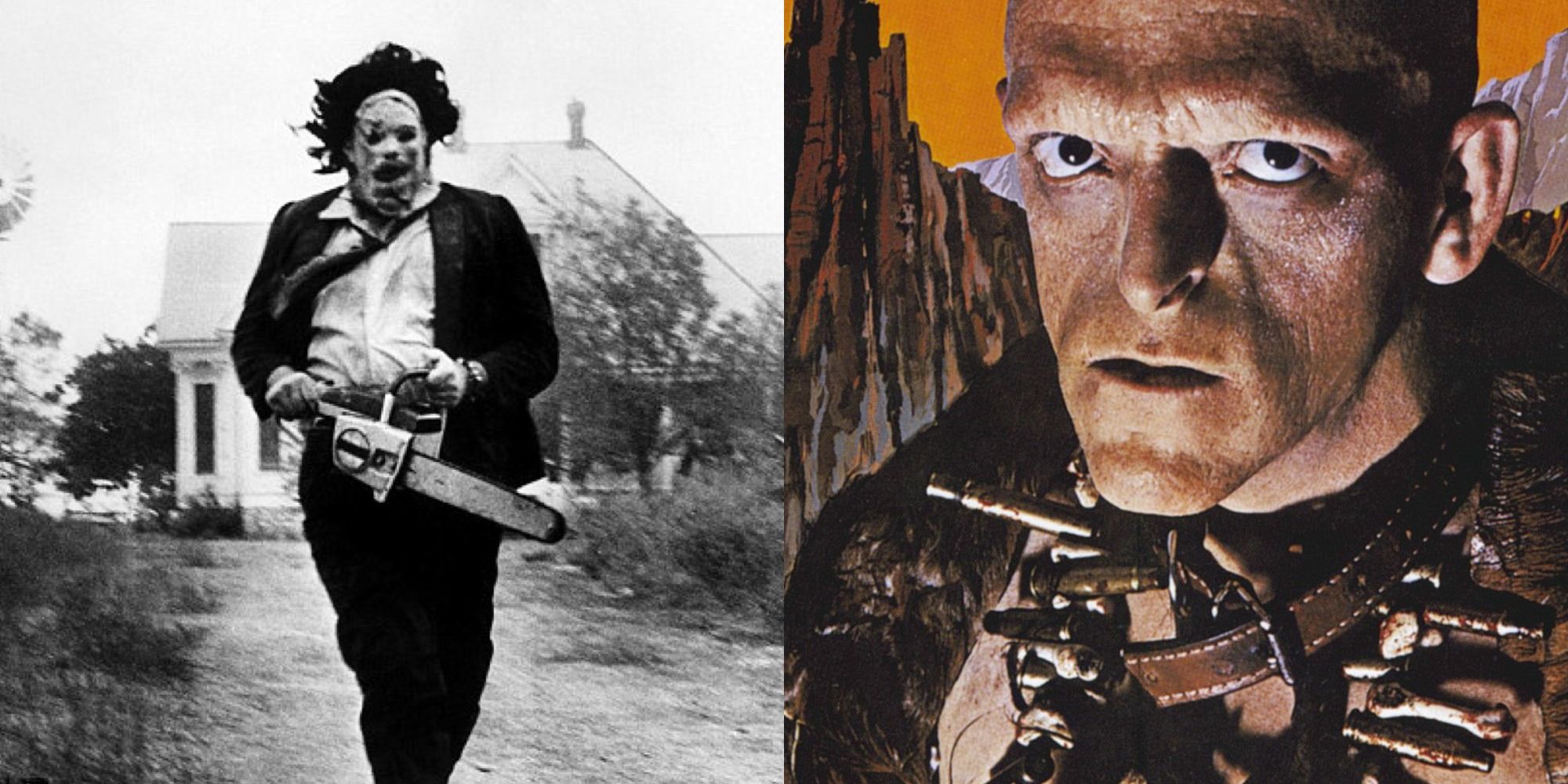 The Texas Chainsaw Massacre and Hills Have Eyes Mashup