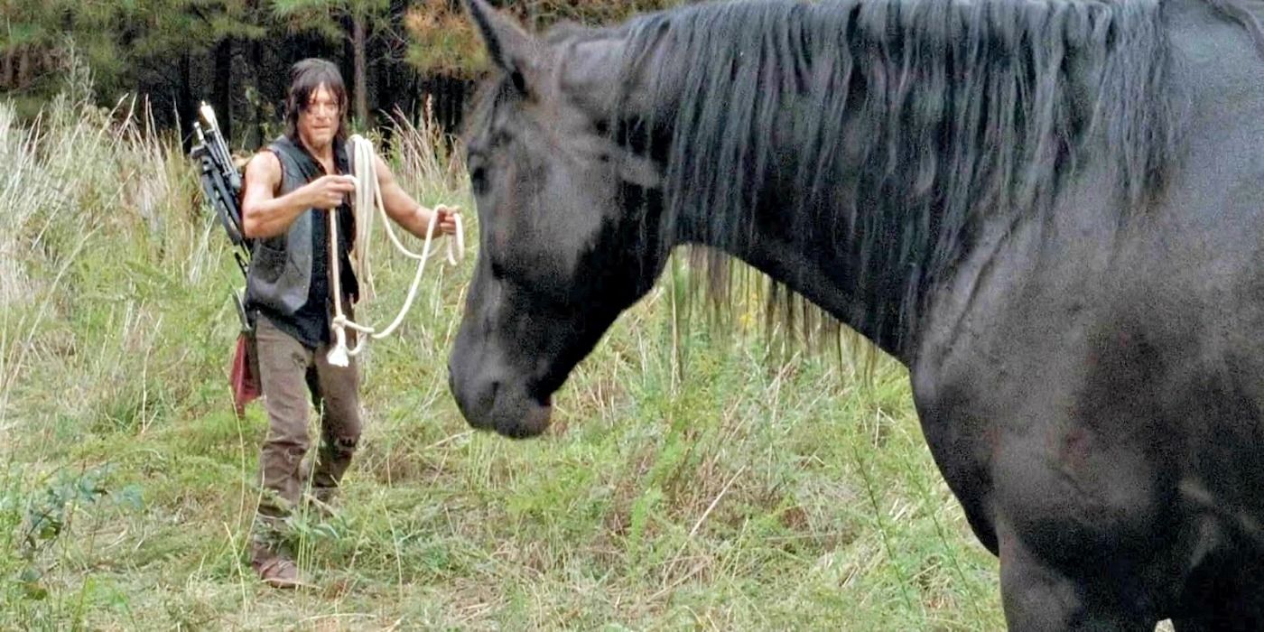The Walking Dead Daryl Dixon Buttons the horse