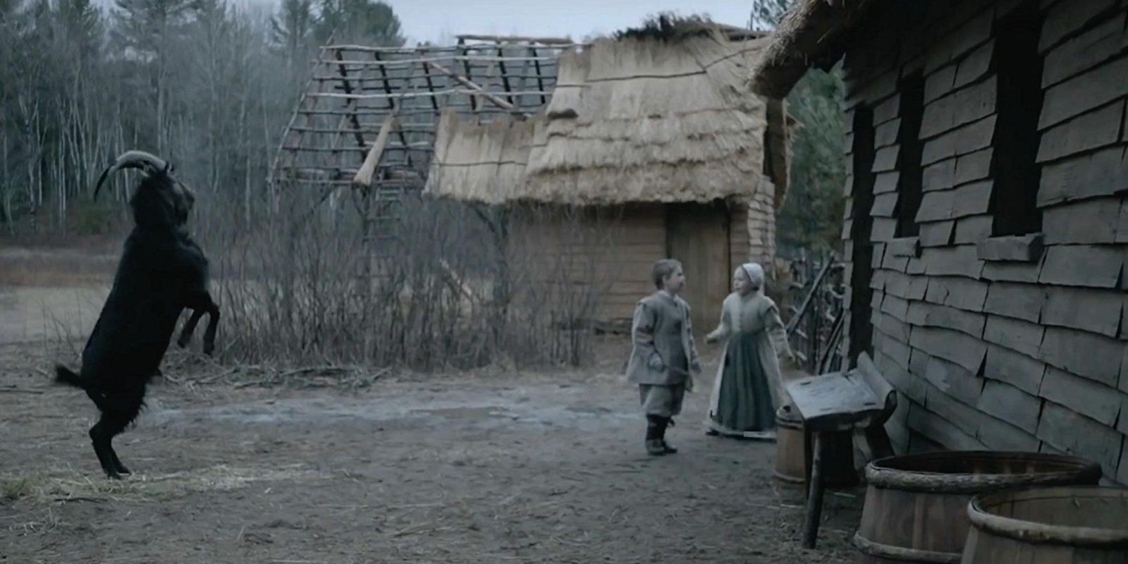 A still from the 2015 horror film The Witch.