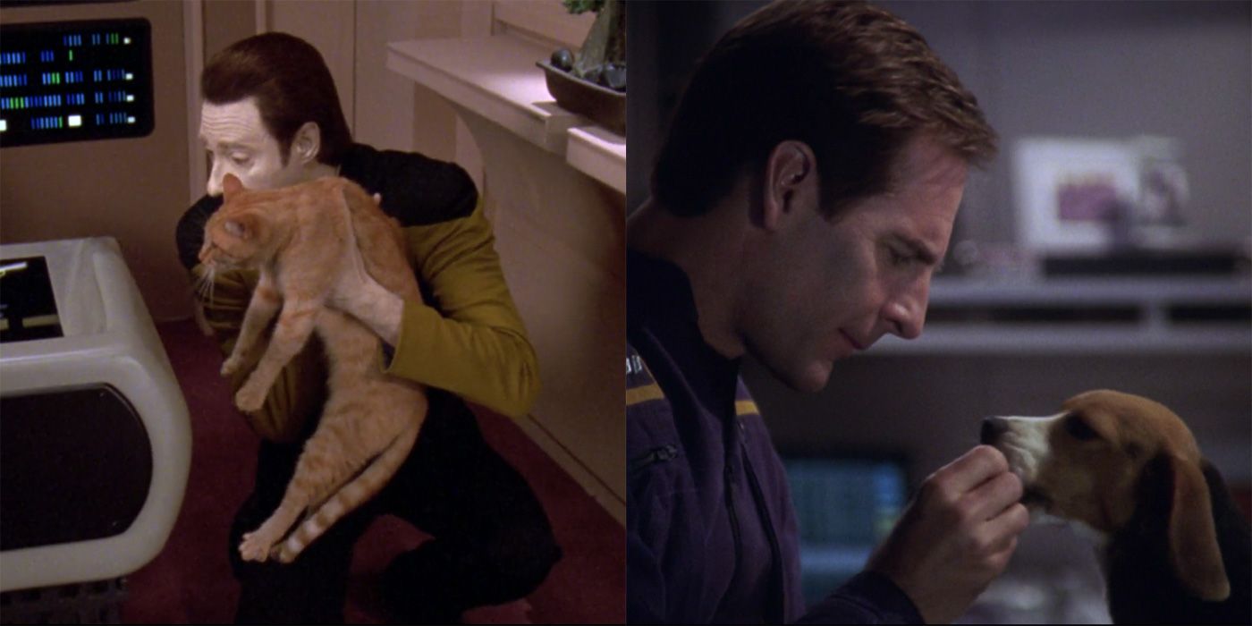 Spot and Porthos, Star Trek and Enterprise