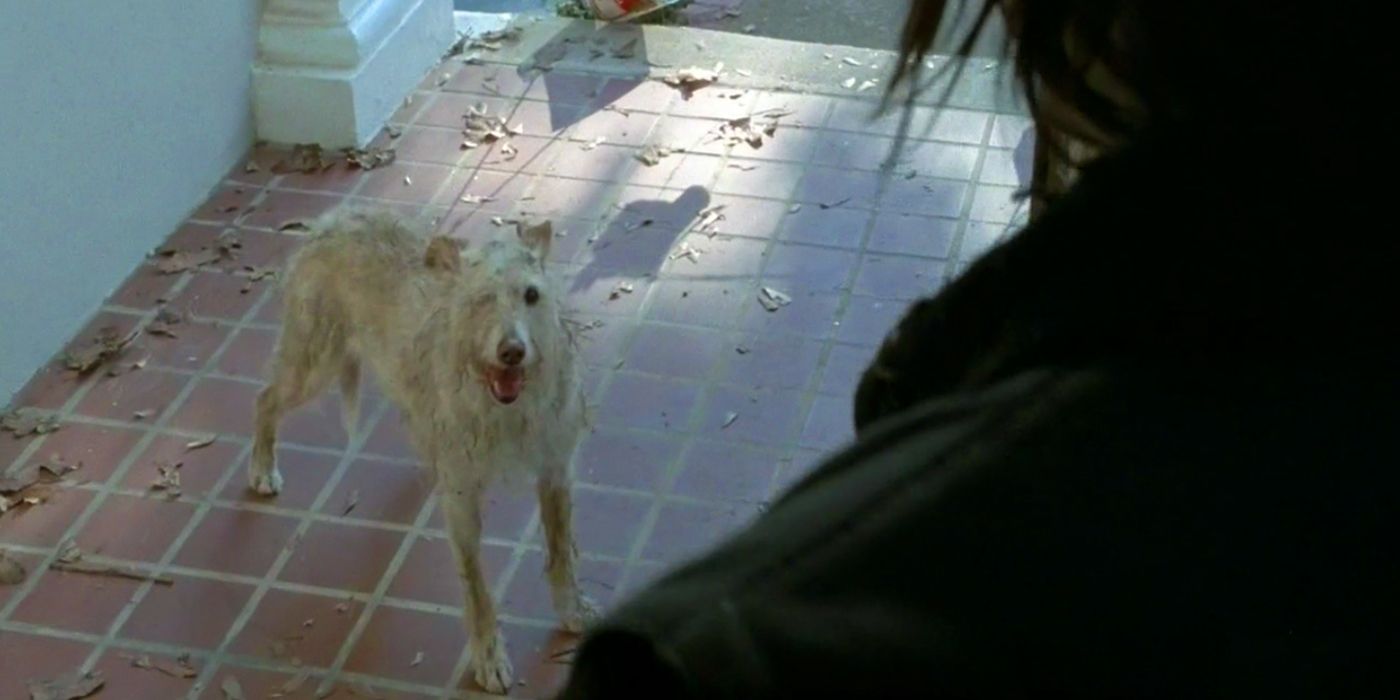 Walking Dead One-Eyed Dog Dooley