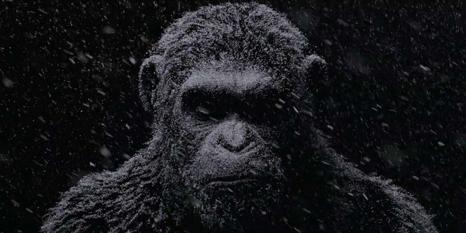 Planet of the Apes Interview: How The Series Can Continue After Caesar & Still Star Andy Serkis