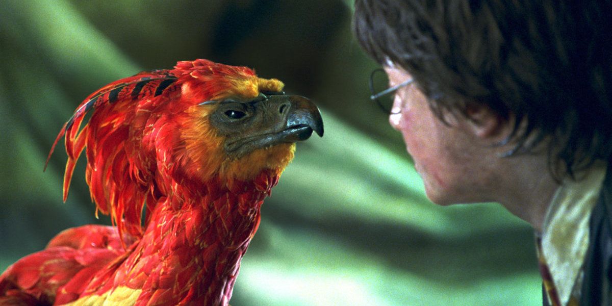 Harry Potter and the Pheonix