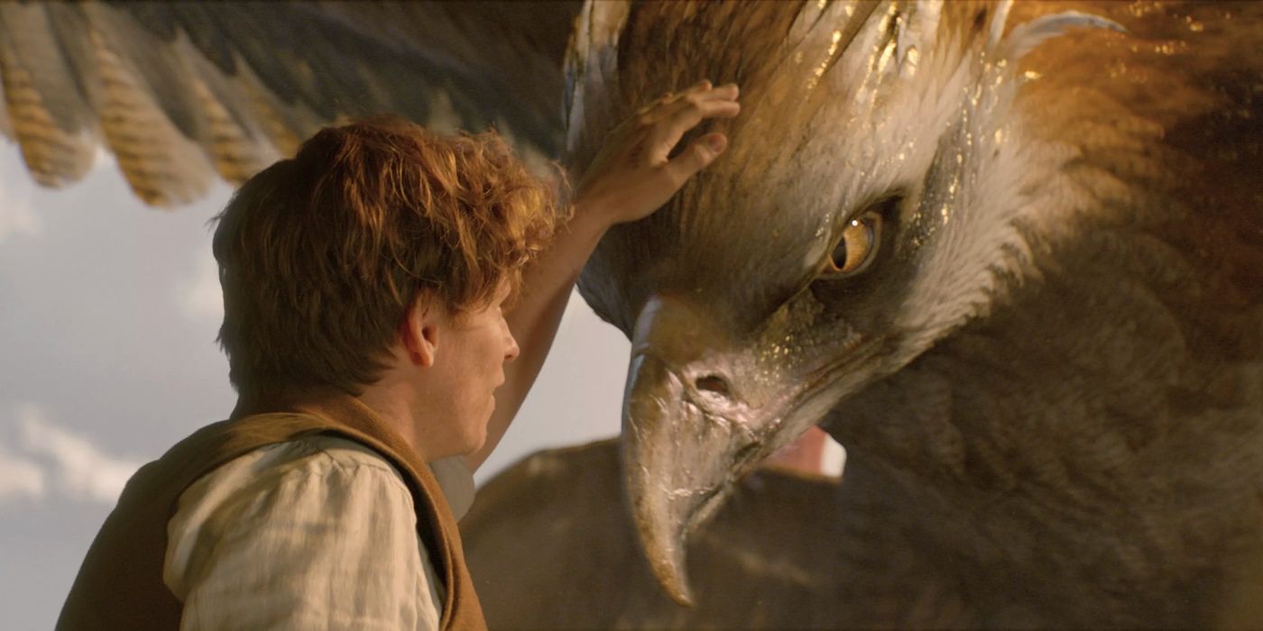 New pets the Thunderbird in Fantastic Beasts