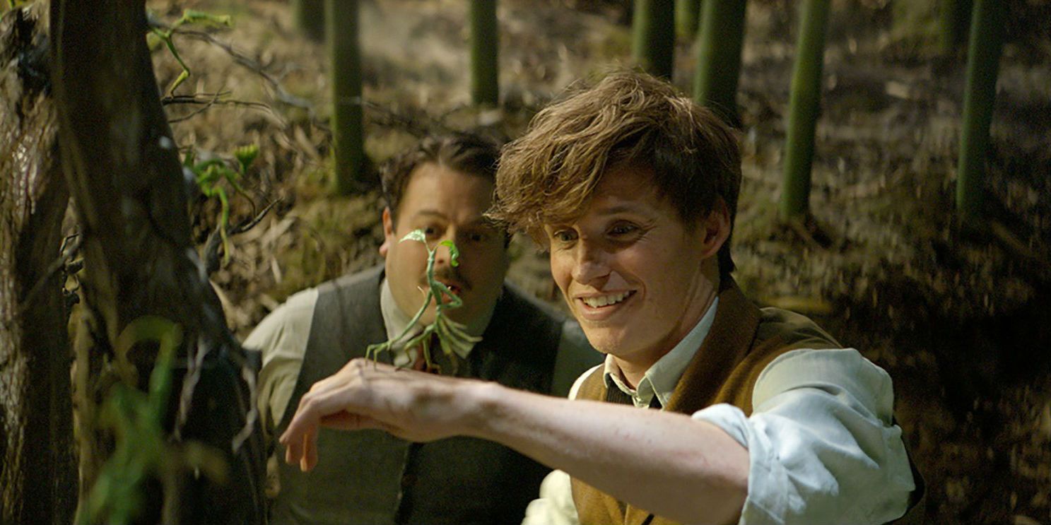 Fantastic Beasts 10 Reasons Why Newt & Jacob Arent Really Friends