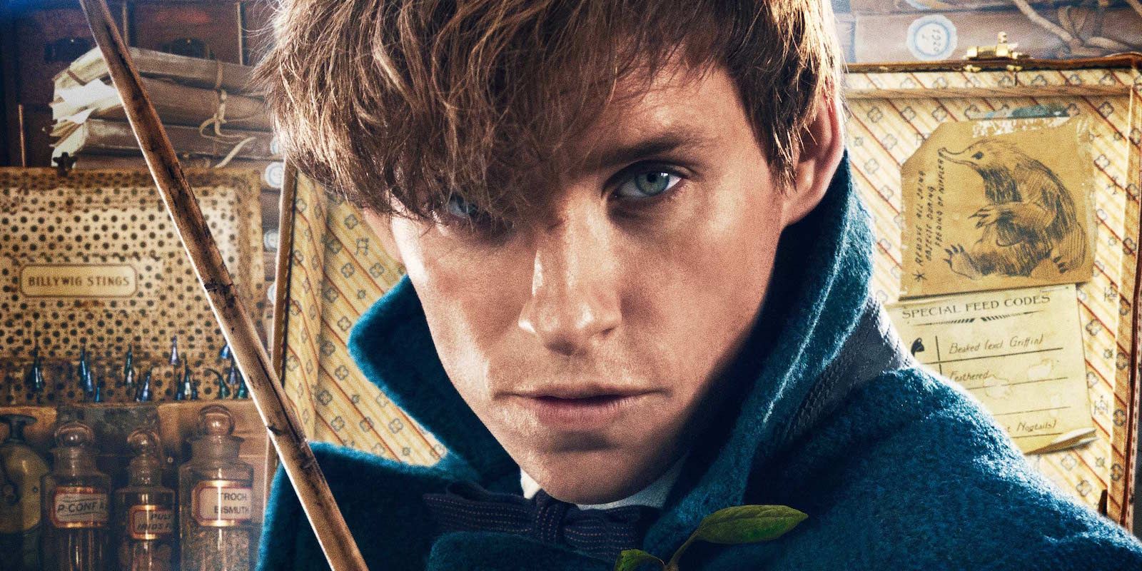 Eddie Redmayne as Newt Scamander on the Fantastic Beasts and Where to Find Them  Poster