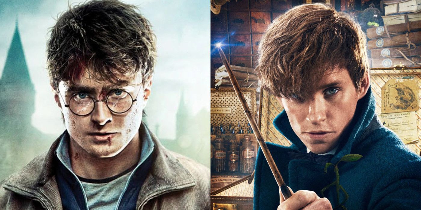 Harry Potter and Newt Scamander Side by Side
