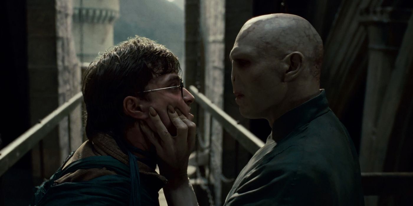 Harry Potter vs Voldemort