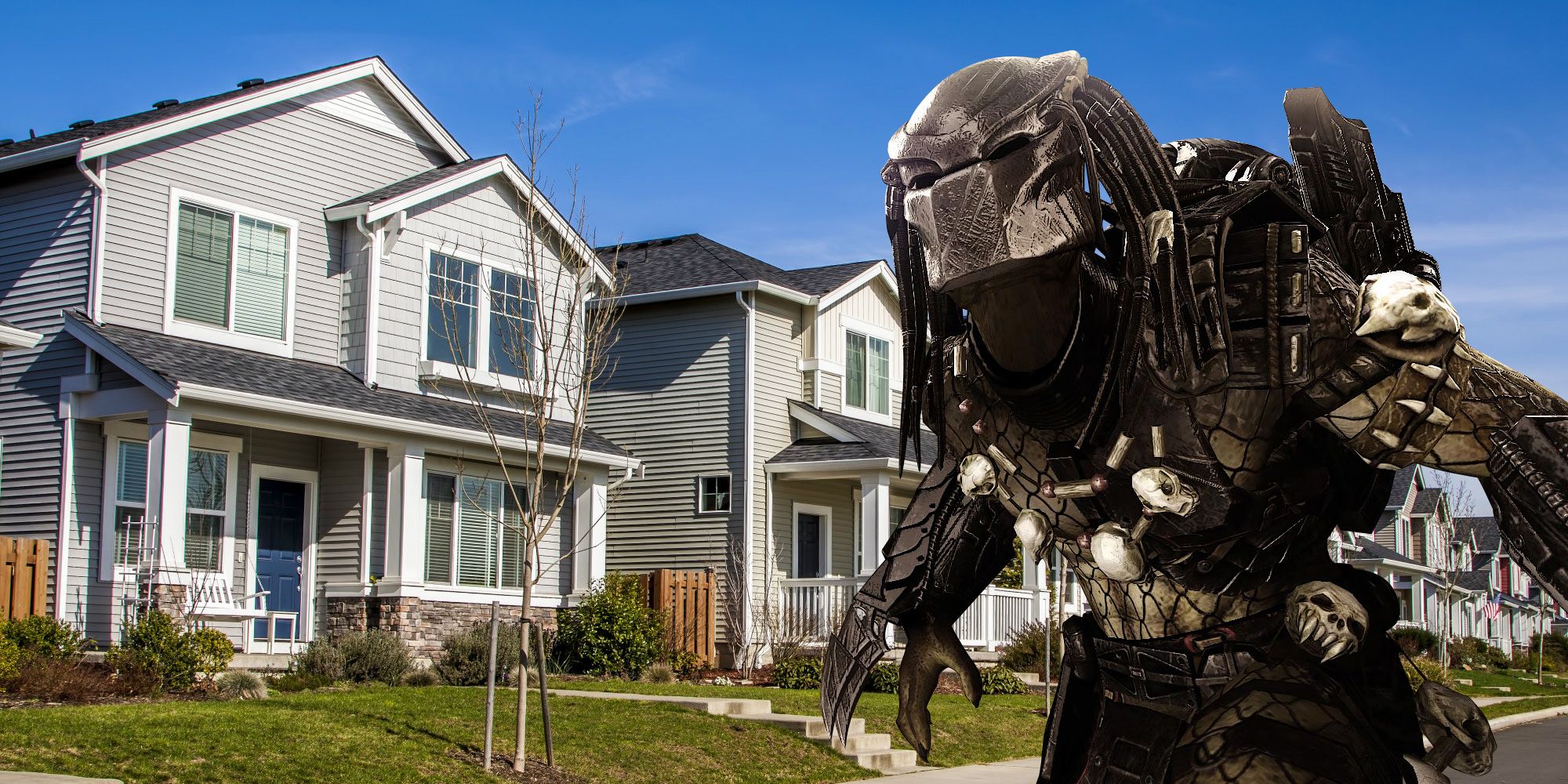 The Predator not in the suburbs