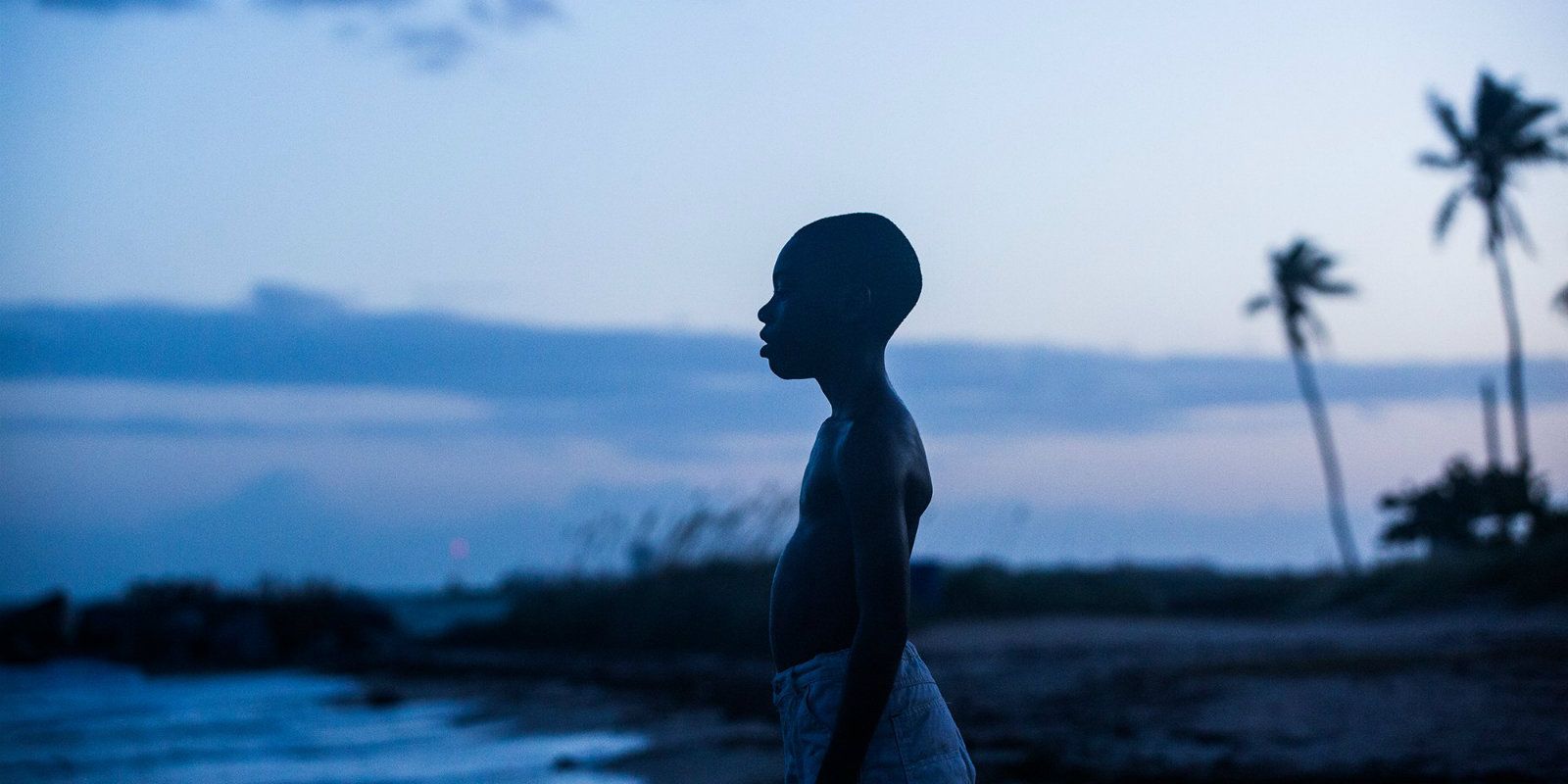 Moonlight (2016) - Alex Hibbert