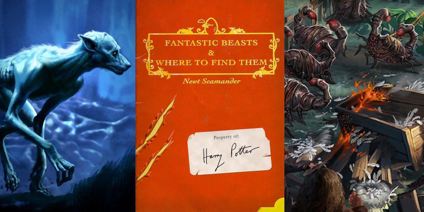 15 Thing You Didn't Know About Newt Scamander From Fantastic Beast and Harry Potter