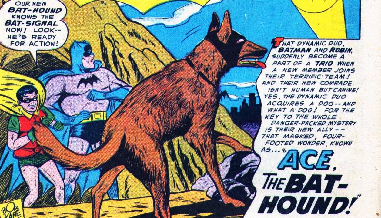 Batman Ace The Bat Hound Dog