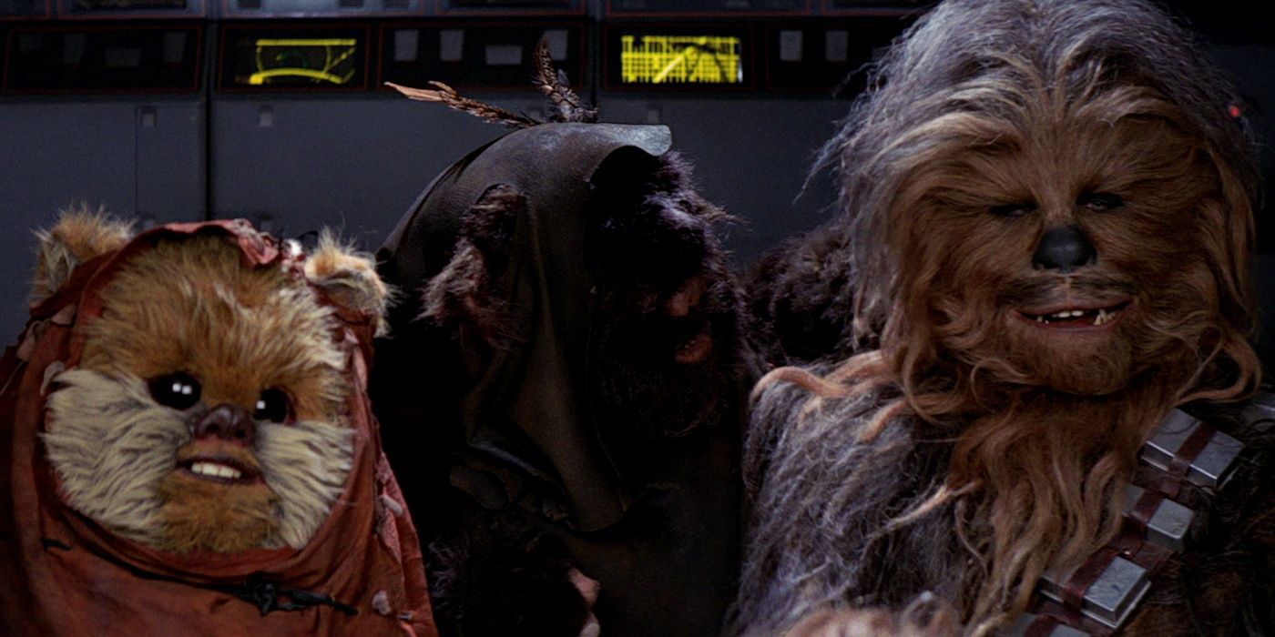 Chewbacca With An Ewok in Star Wars