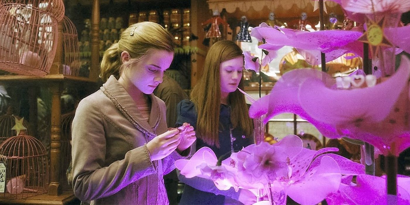 Hermione and Ginny looking at love potions in Harry Potter