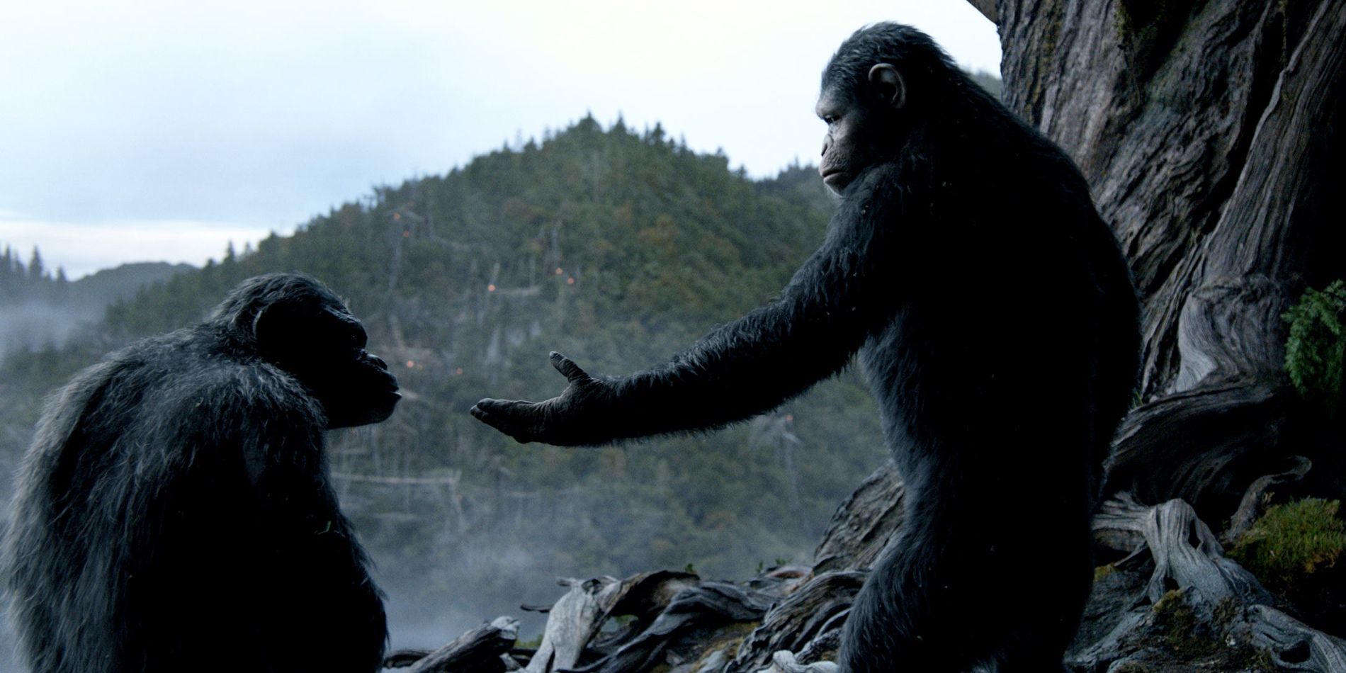 Koba and Caesar in Dawn of the Planet of the Apes